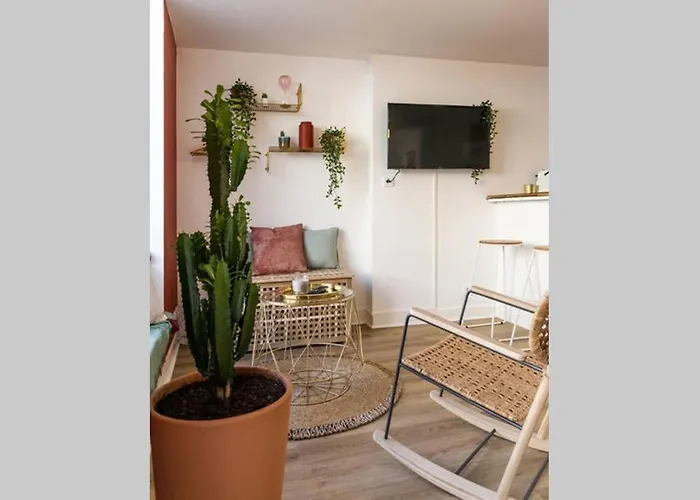 Studio Haut De Gamme, Renovation Neuve Style 4 Etoiles 凯恩